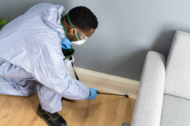 Best Residential Pest Control  in Mason, MI